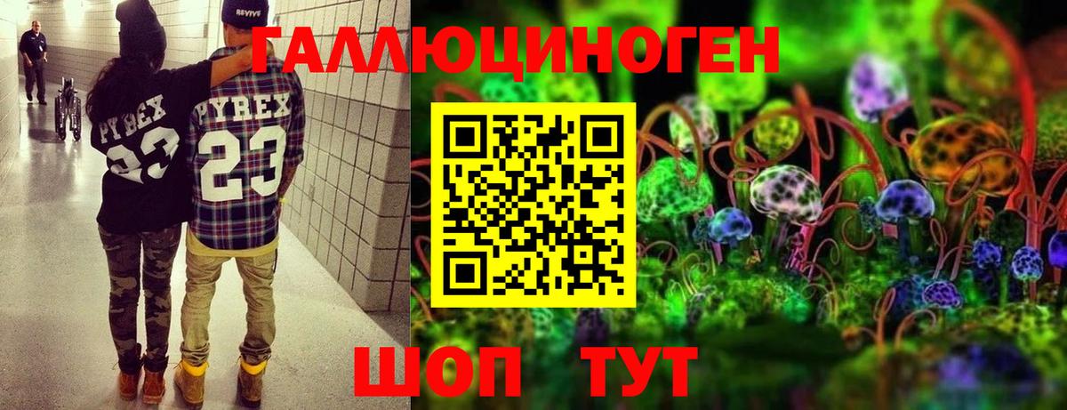 Галлюциногенные грибы прущие грибы Гусев