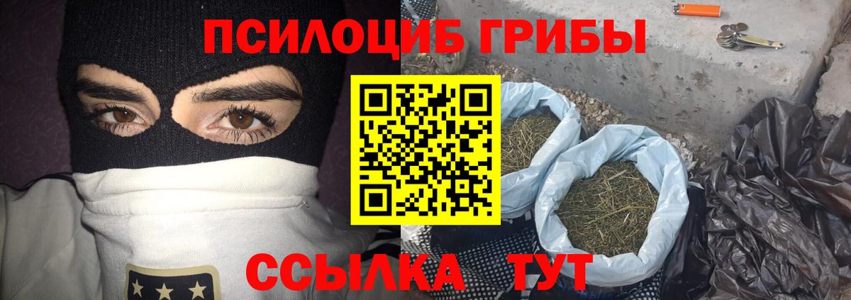Псилоцибиновые грибы Psilocybine cubensis  сколько стоит  Гусев  Вход с VPN 